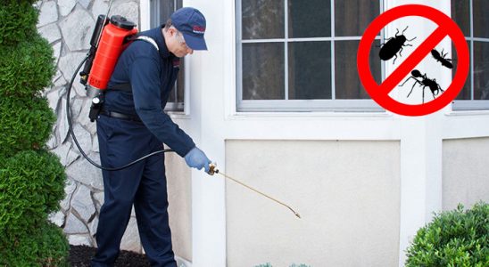 Kemeraltı Böcek ve Haşere İlaçlama böcek ilaçlama ve haşere kontrolü — ilaclama-tr.com